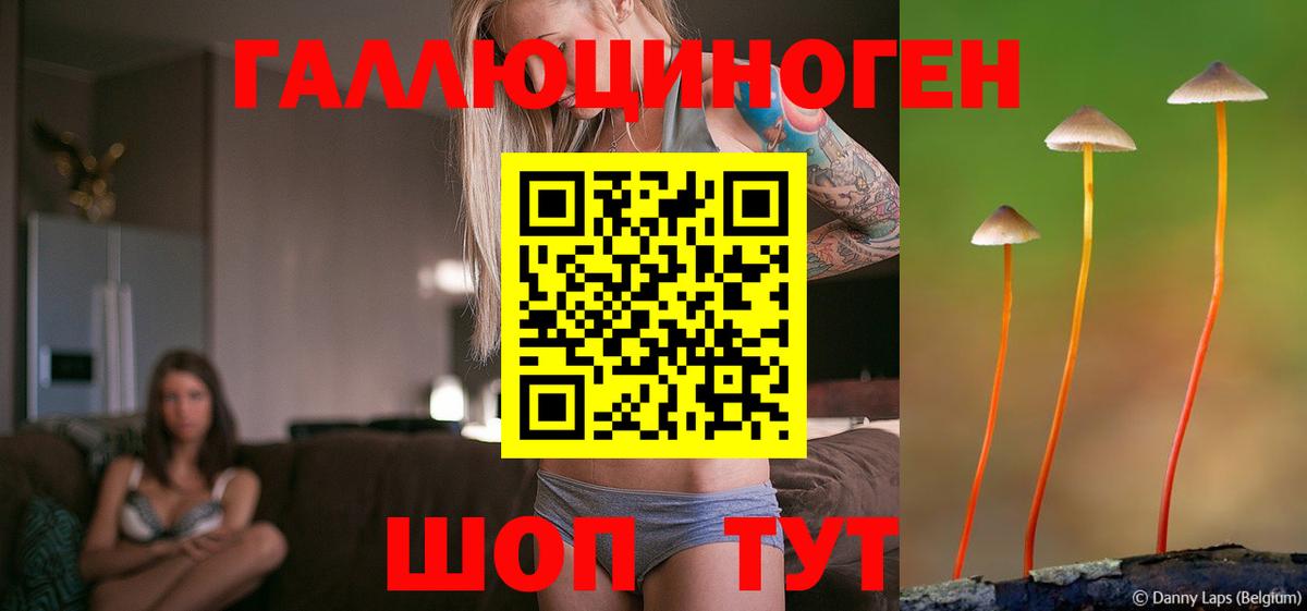 Галлюциногенные грибы мицелий  Галлюциногенные грибы GOLDEN TEACHER  Муром  Вход с VPN 